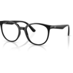 Rayban Rb7206l 2000
