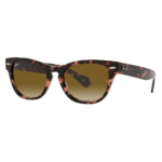Ray-ban Rb2201 1334/51 Laramie