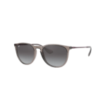 ray-ban-4171-erika-1.png