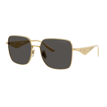 Dolce & Gabanna Dg2310 02/87