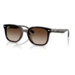 Rayban Rb4461d 710/13