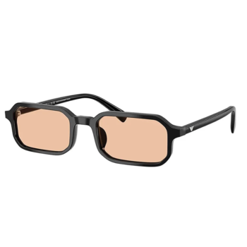 Emporio Armani Ea4253u 5017/93