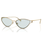 Tiffany & Co. Tf3095 6196mf 61